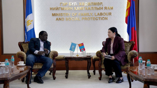 НҮБ-ЫН ХҮҮХДИЙН САНГИЙН МОНГОЛ ДАХЬ СУУРИН ТӨЛӨӨЛӨГЧИЙГ ХҮЛЭЭН АВЧ УУЛЗАВ